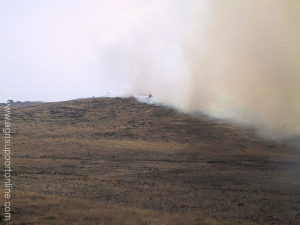 2001_israel_fire_fighting_in_the_jordan_valley