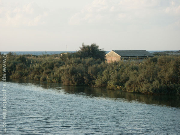 2002_alexander_stream_michmoret_israel