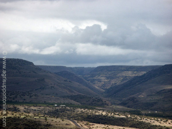 2002_golan_heights_israel