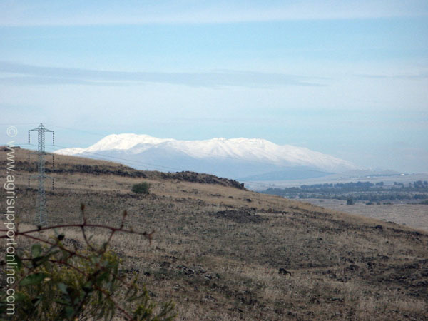 2002_israel_mount_hermon