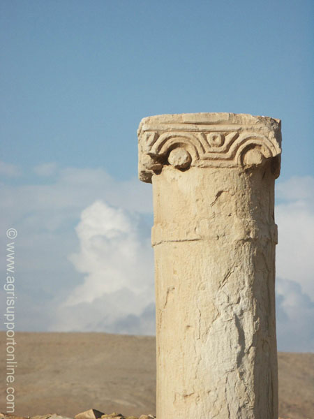 2002_mamshit_the_negev_desert_israel_1