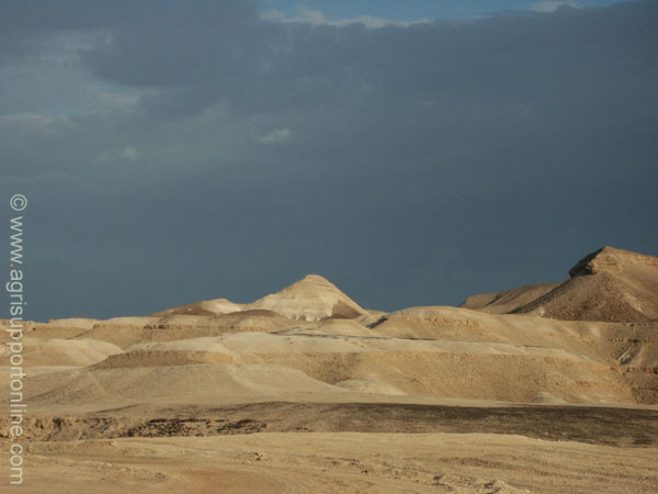 2002_negev_desert_israel