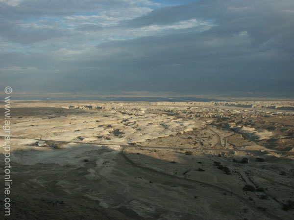 2002_negev_desert_israel_1