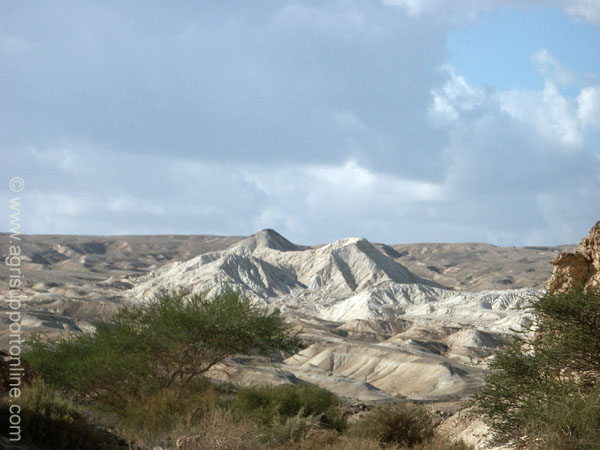 2002_negev_desert_israel_10