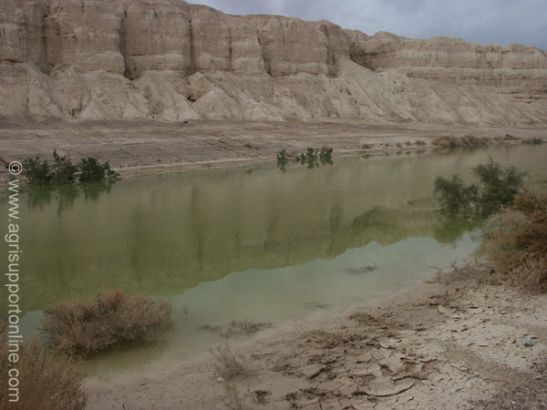 2002_negev_desert_israel_4