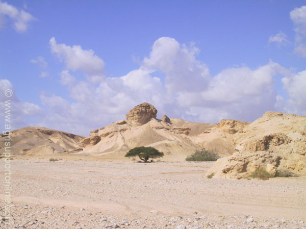 2002_negev_desert_israel_5