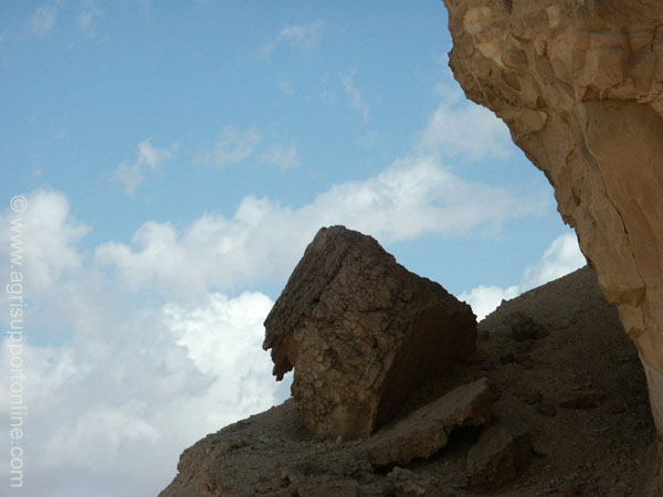 2002_negev_desert_israel_7