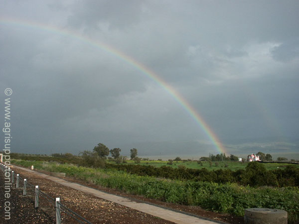 2003_rainbow_over_the_galilee_israel