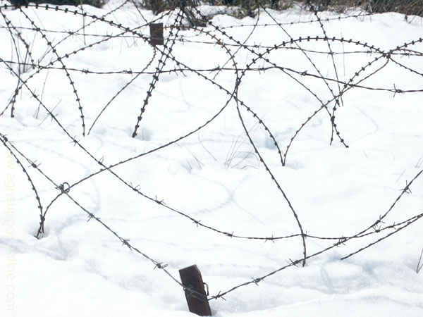 2003_snow_in_the_golan_israel_1