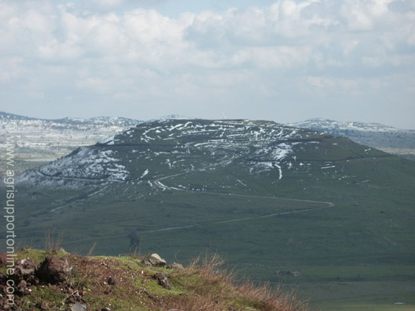 2003_snow_in_the_golan_israel_2