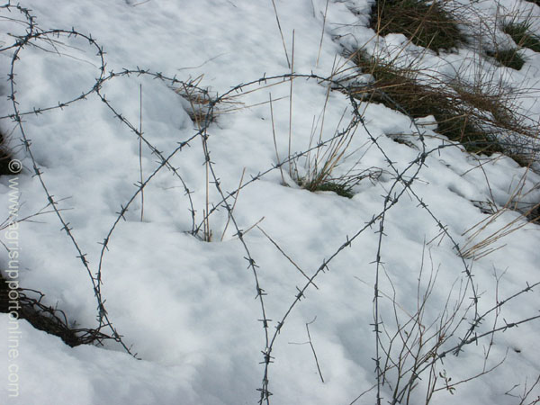 2003_snow_in_the_golan_israel_5