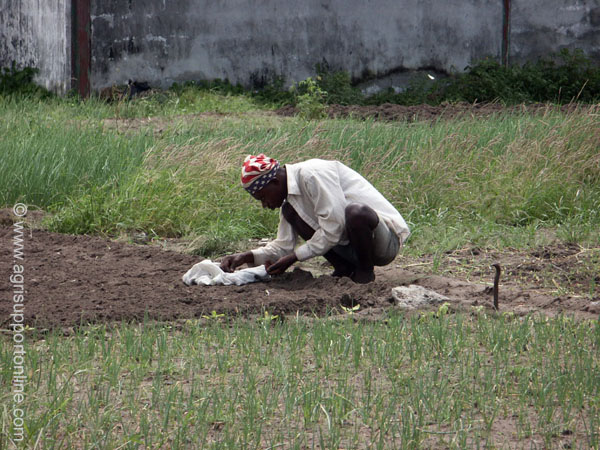 2003_agriculture_work_congo