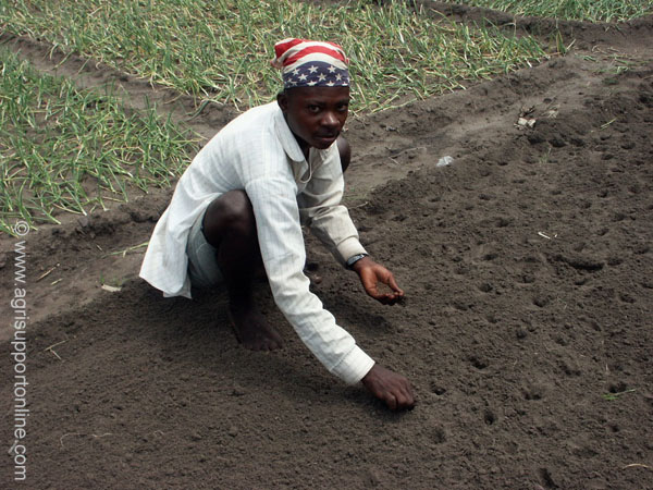 2003_agriculture_work_congo_2