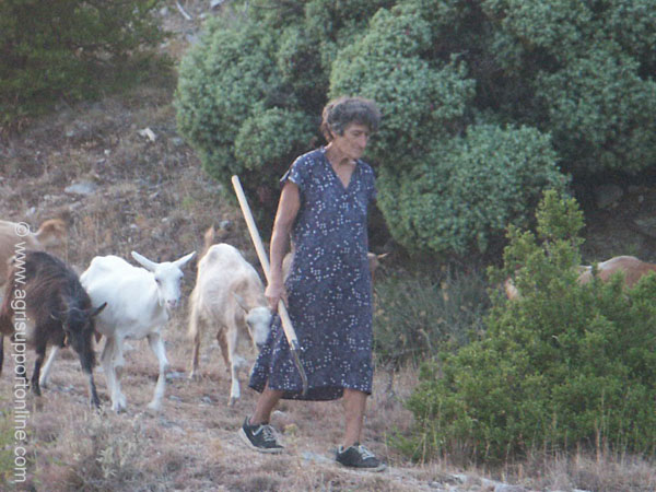 2003_herdswoman_montenegro