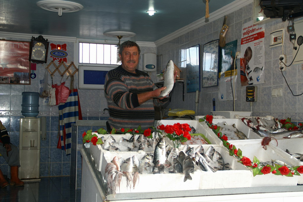 Fishmonger in Turkey 2008 - cat0813