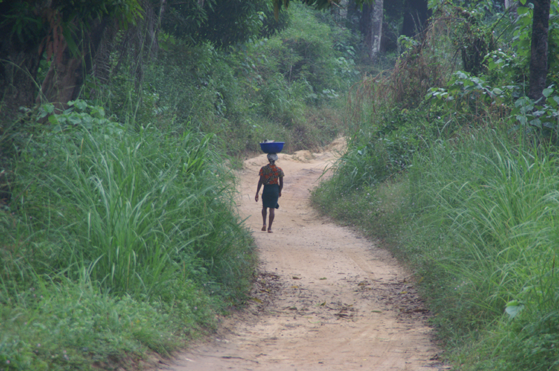 sierra_leone (343)