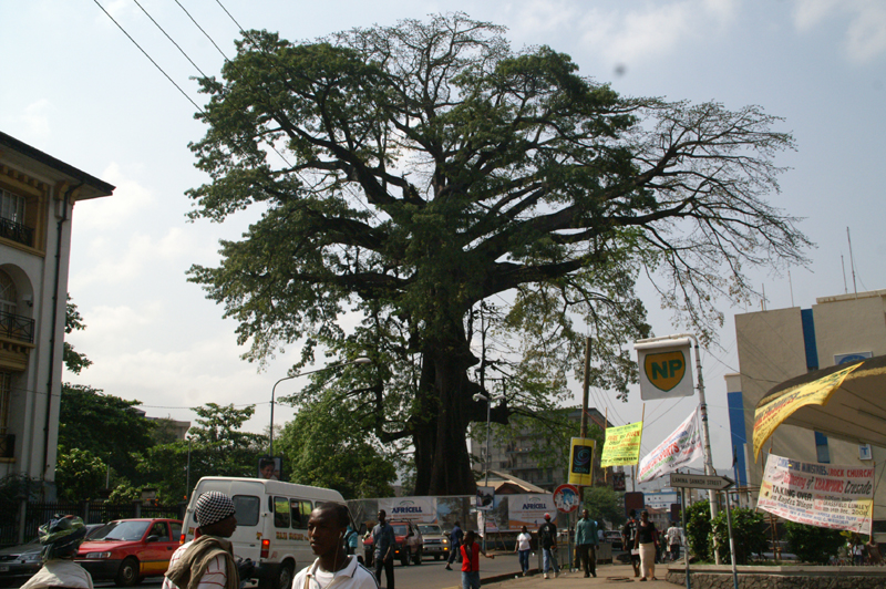 sierra_leone (39)