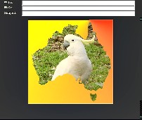 Cockatoo